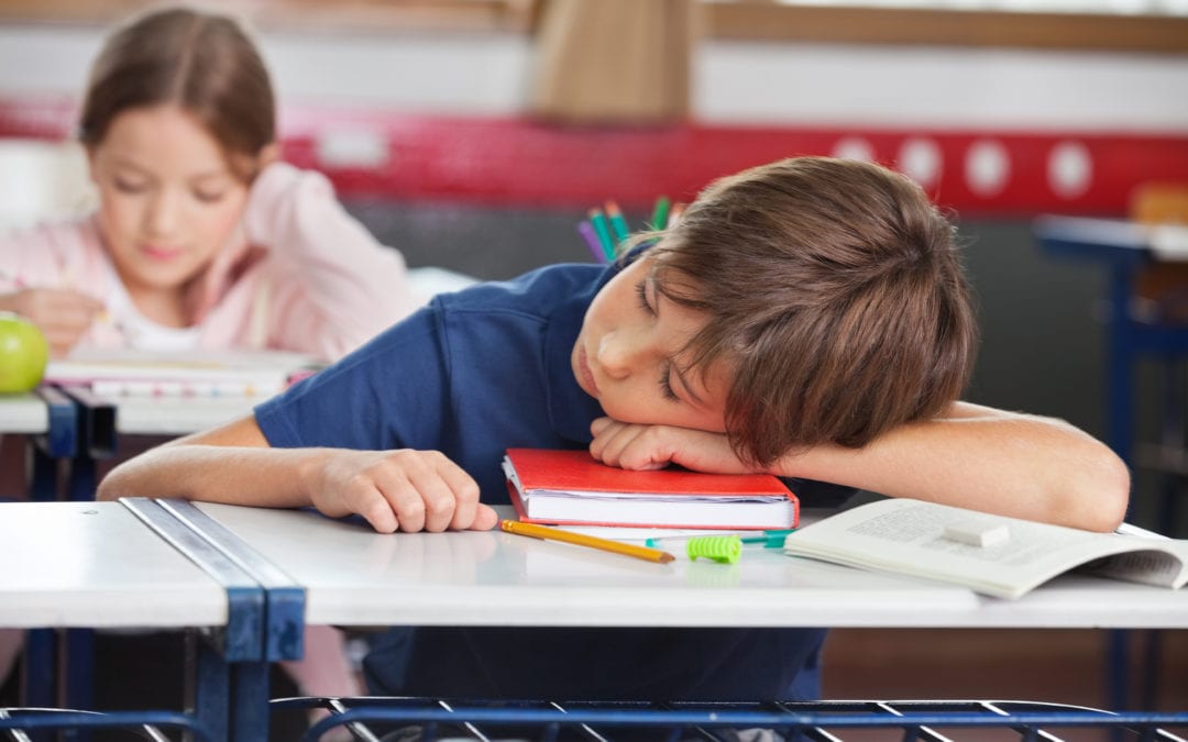 Young boy falls asleep during class.